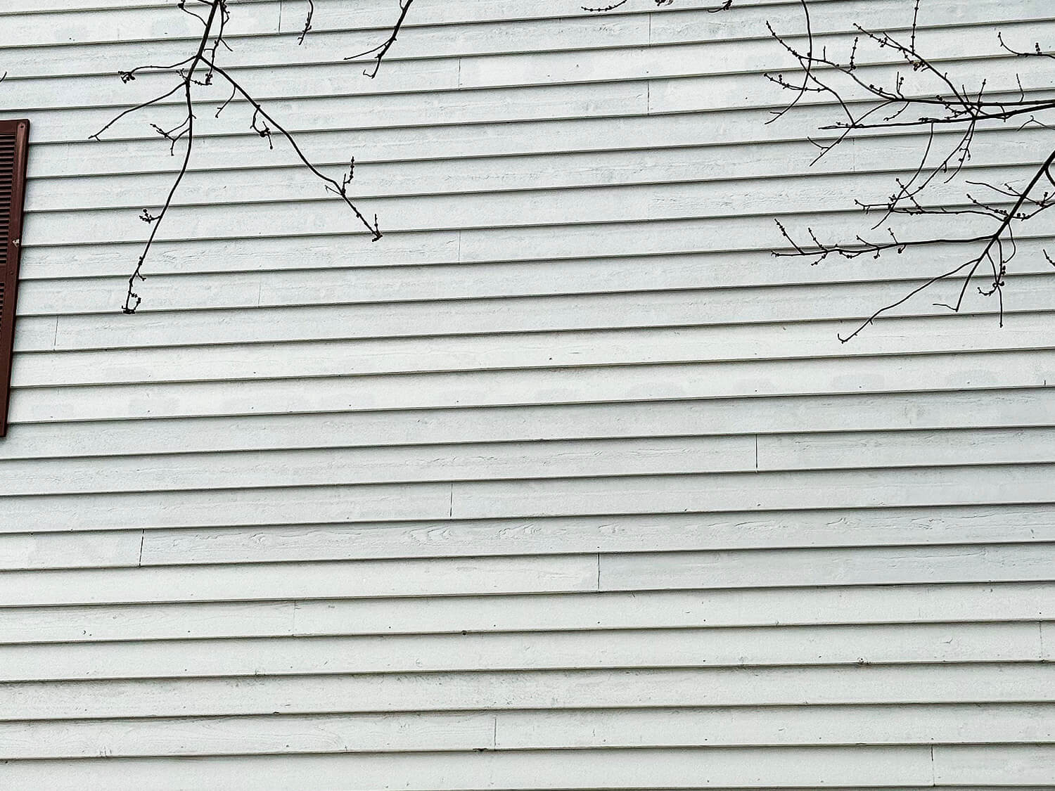 Woodpecker Siding Damage Repair Results