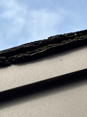 Double Layered Shingles