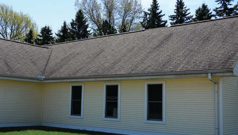 Roof Algae