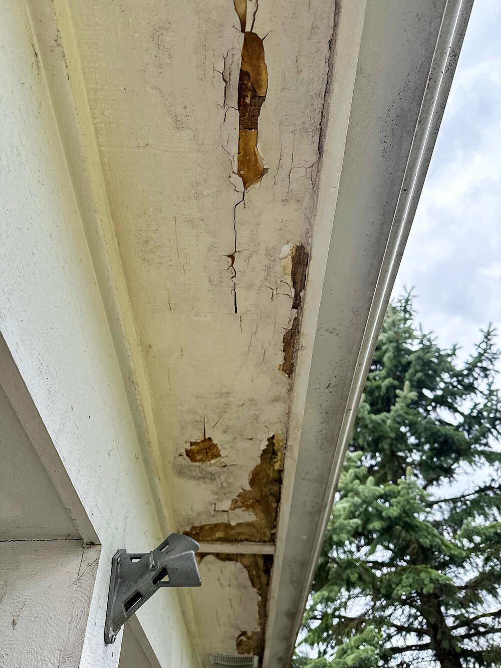 Before Fascia Repair