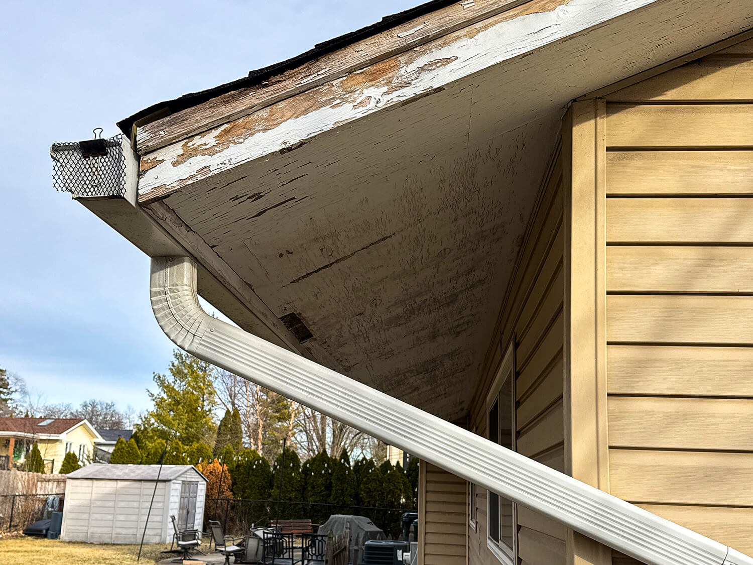 Before Fascia Repair